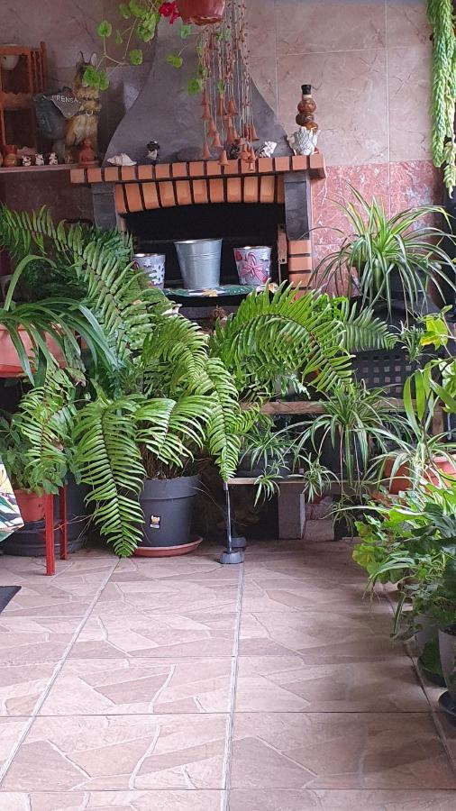 Casa Rural El Puente Taganana Zewnętrze zdjęcie