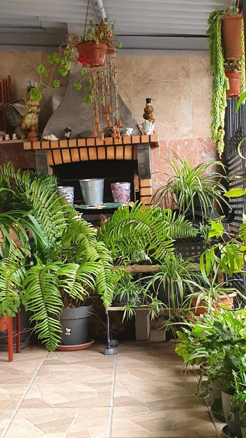 Casa Rural El Puente Taganana Zewnętrze zdjęcie