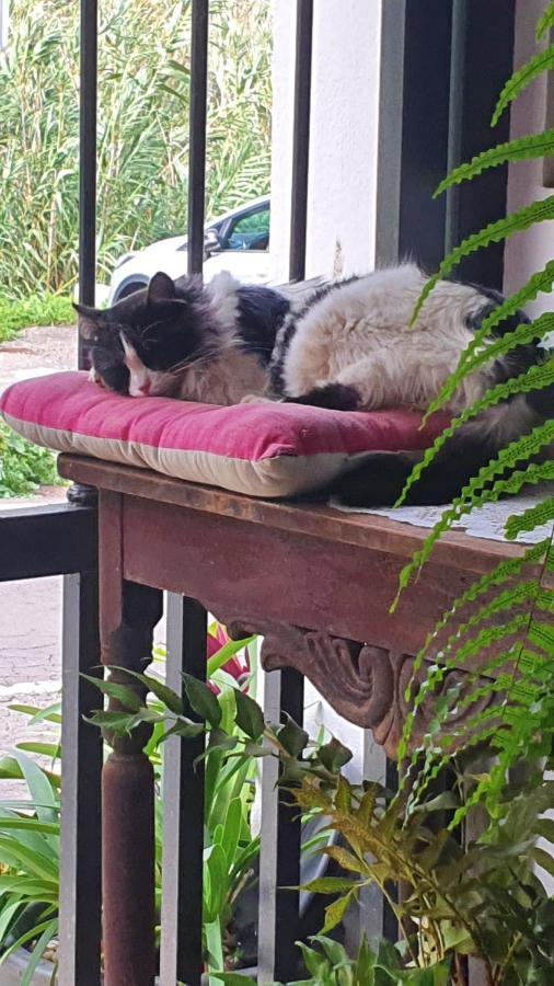 Casa Rural El Puente Taganana Zewnętrze zdjęcie